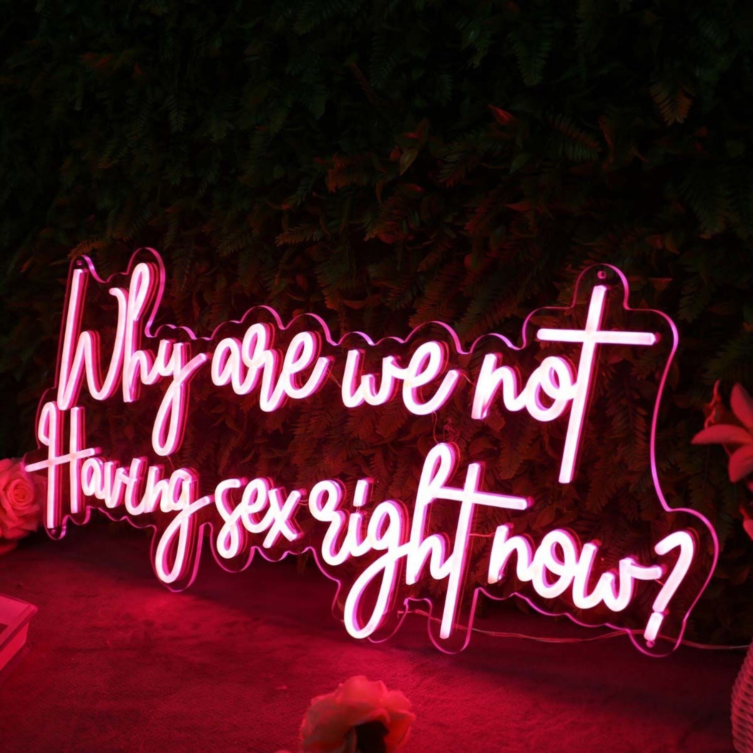 Why Are We Not Having Sex Right Now Red Led Neon Sign - Shineneon