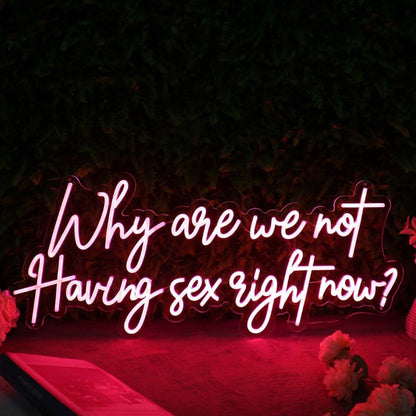 Why Are We Not Having Sex Right Now Red Led Neon Sign - Shineneon