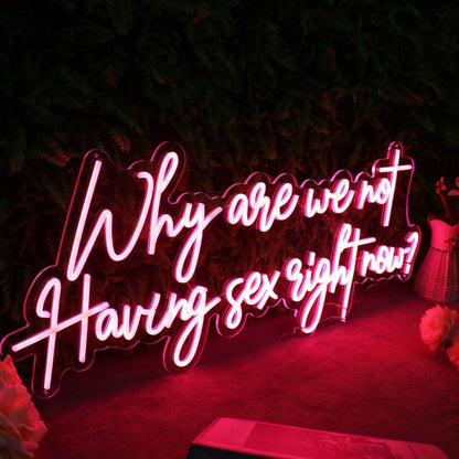Why Are We Not Having Sex Right Now Red Led Neon Sign - Shineneon
