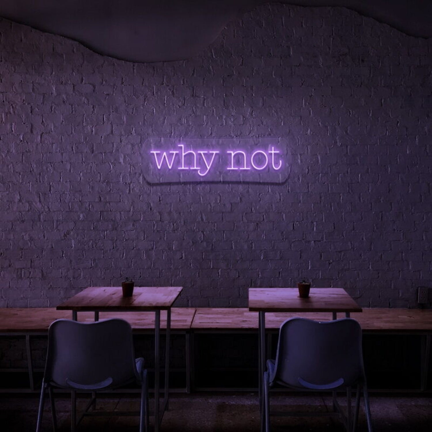 Why Not Led Neon Sign - Shineneon