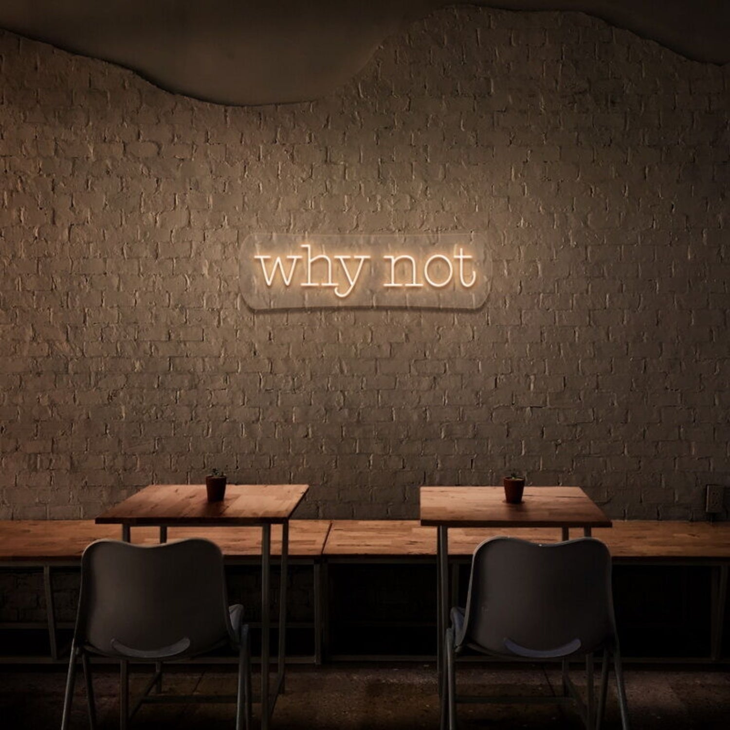 Why Not Led Neon Sign - Shineneon