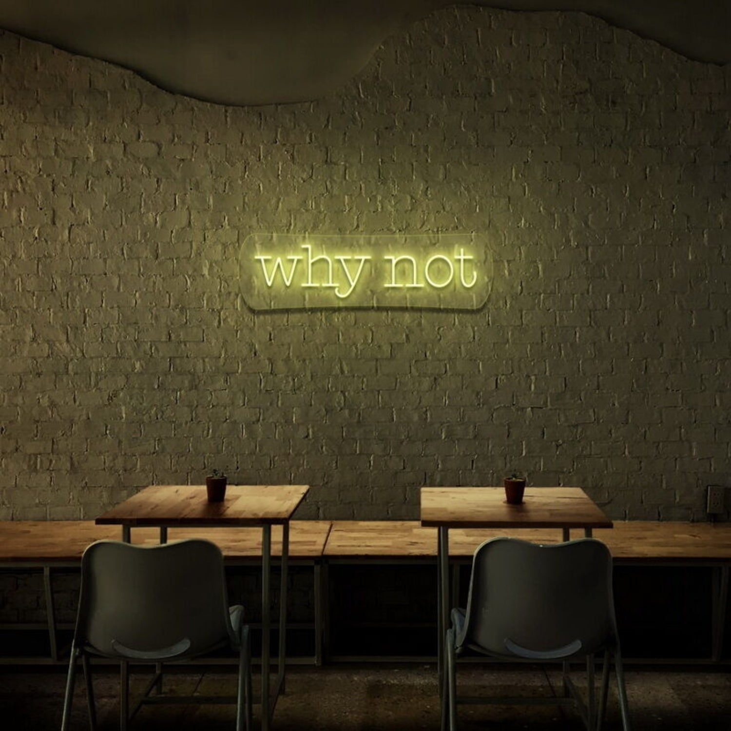 Why Not Led Neon Sign - Shineneon