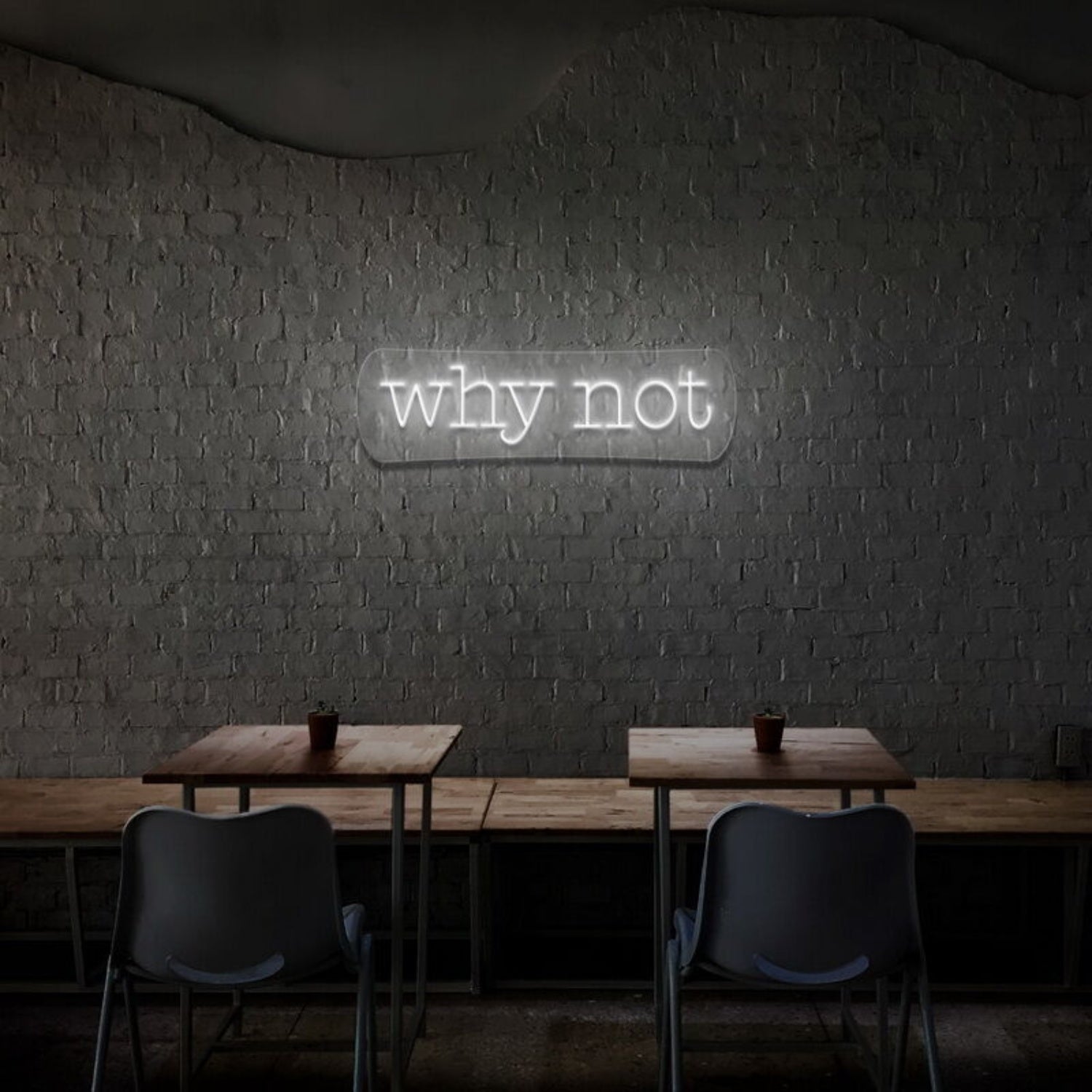 Why Not Led Neon Sign - Shineneon
