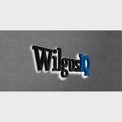 Wilgus Iq 3D Backlit Channel Letters Led Light Sign - Shineneon