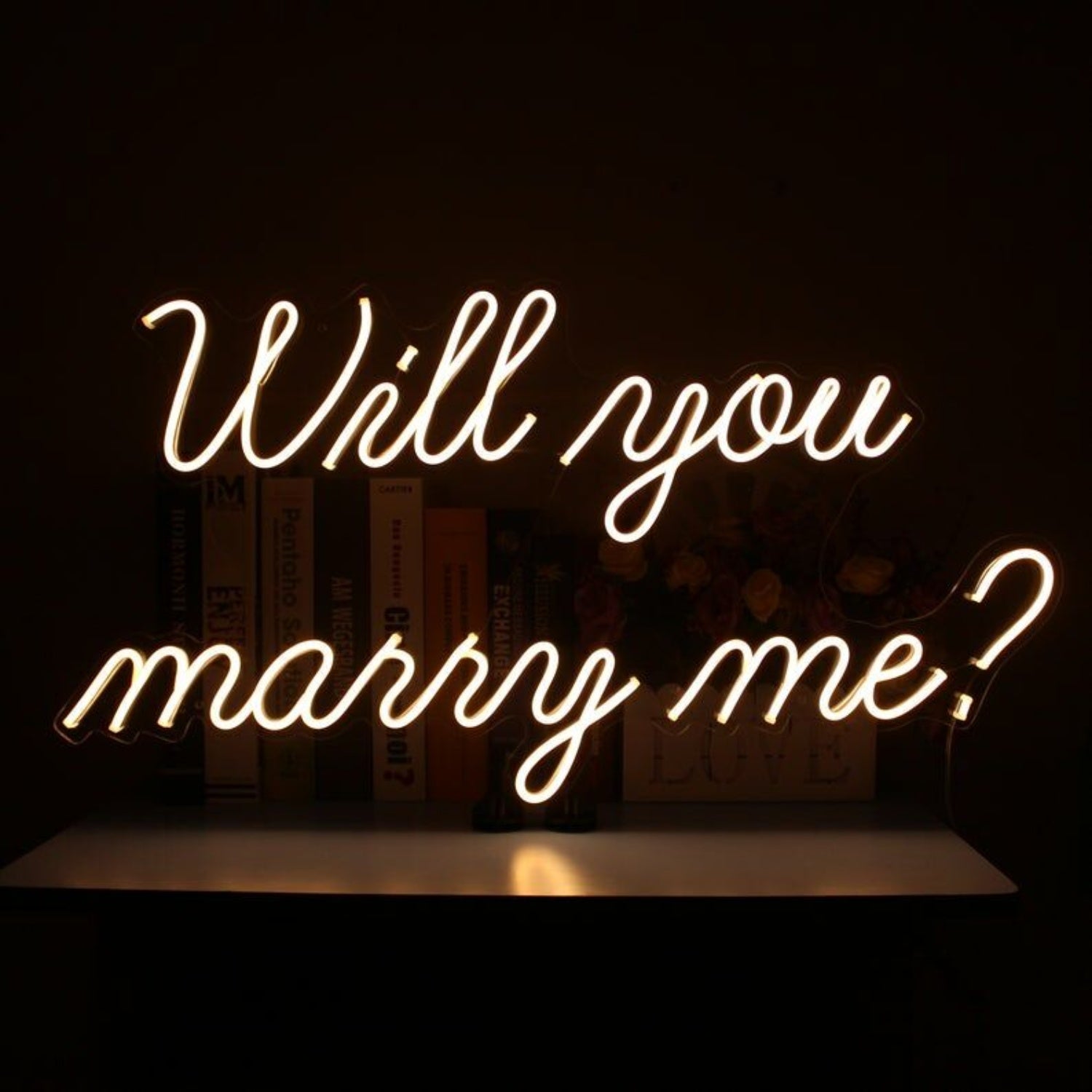 Will You Marry Me Led Neon Sign | Shineneon