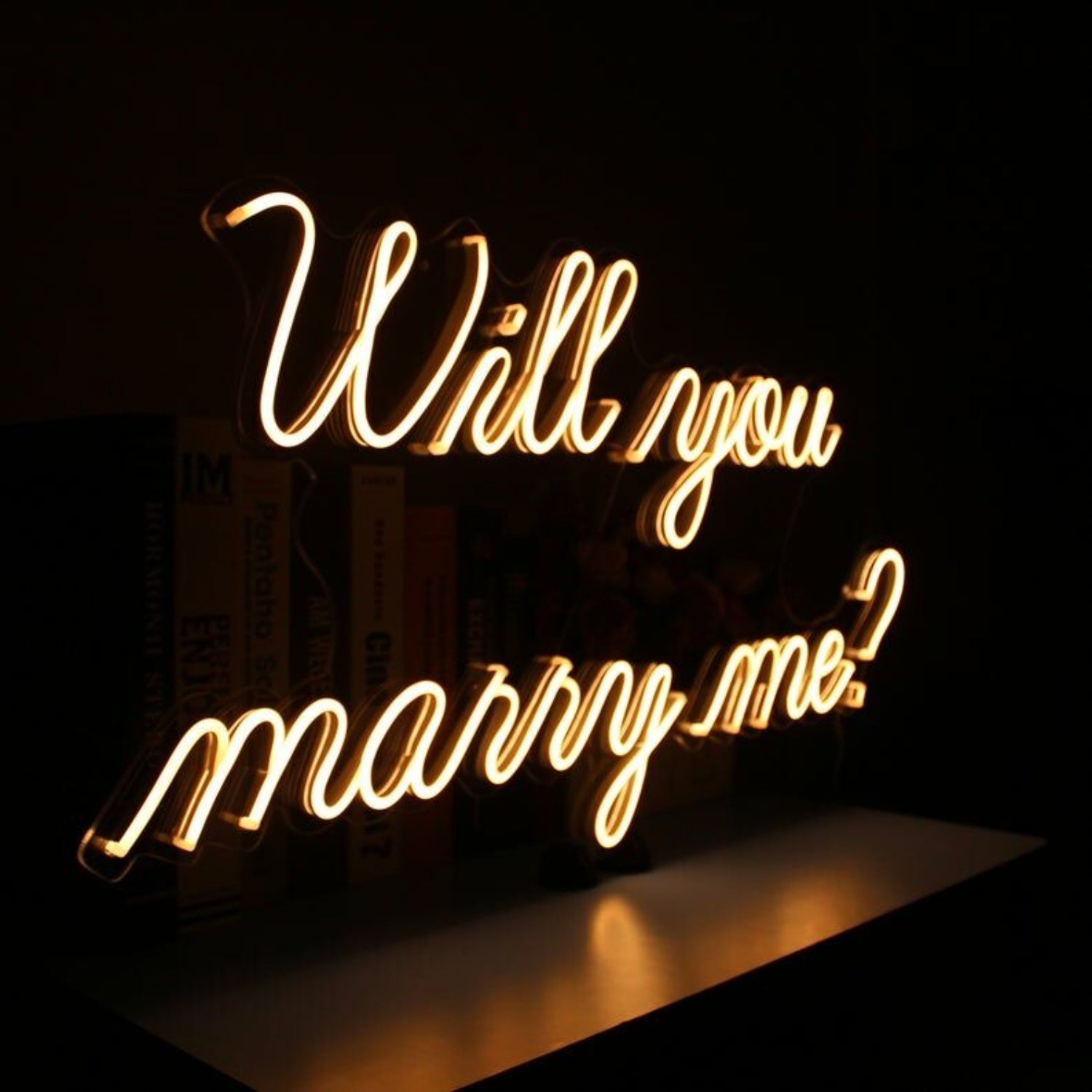 Will You Marry Me Led Neon Sign | Shineneon