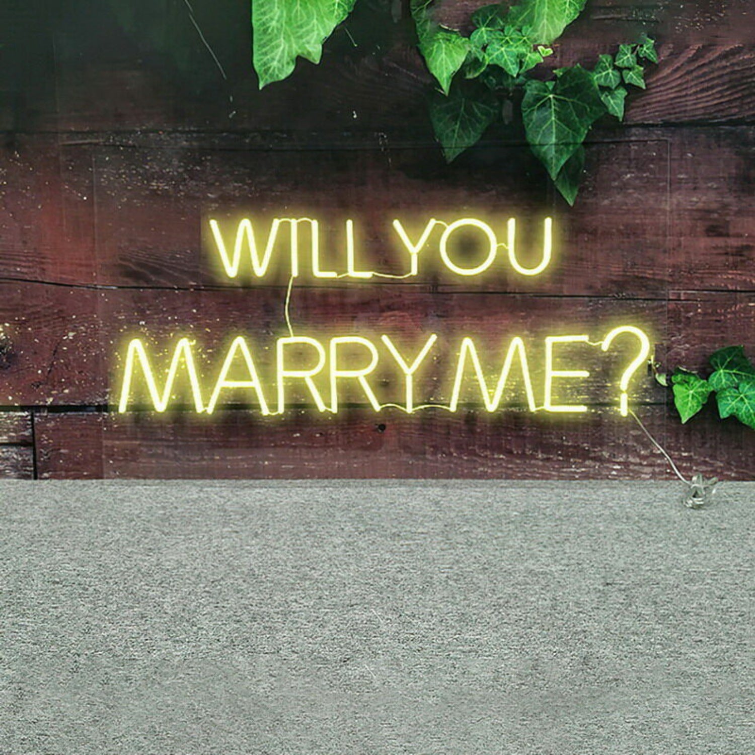 Will You Marry Me Neon Sign | Shineneon