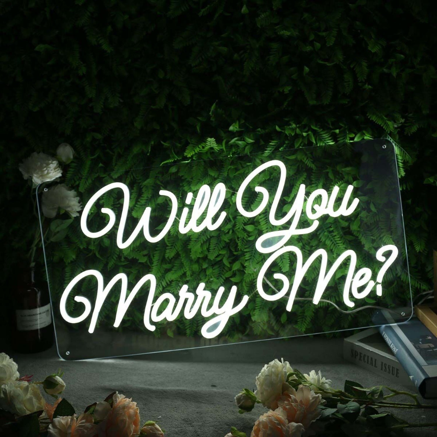 Will You Marry Me White Neon Sign | Shineneon