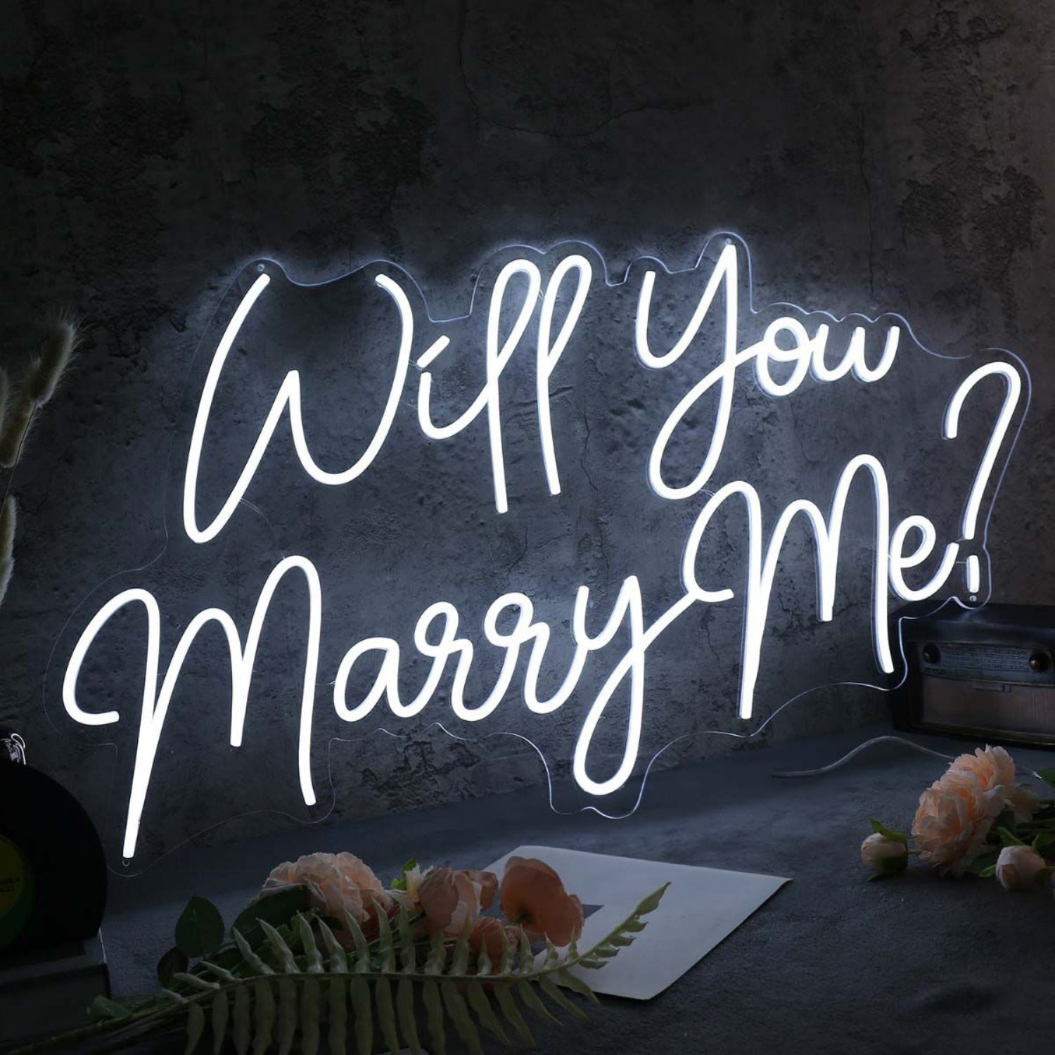 Will You Marry Me White Neon Sign For Engagement | Shineneon