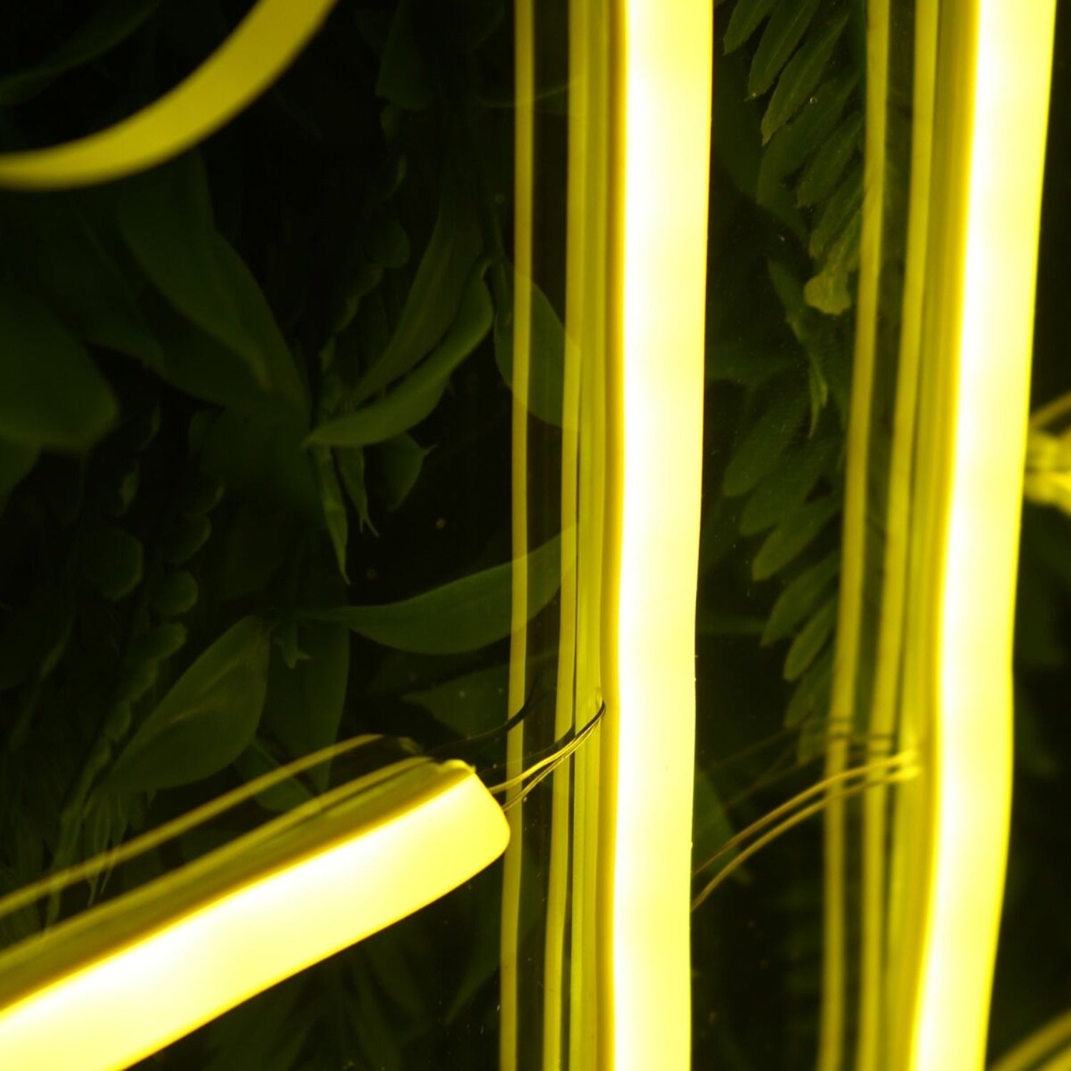 Win The Day Yellow Custom Led Neon Sign - Shineneon