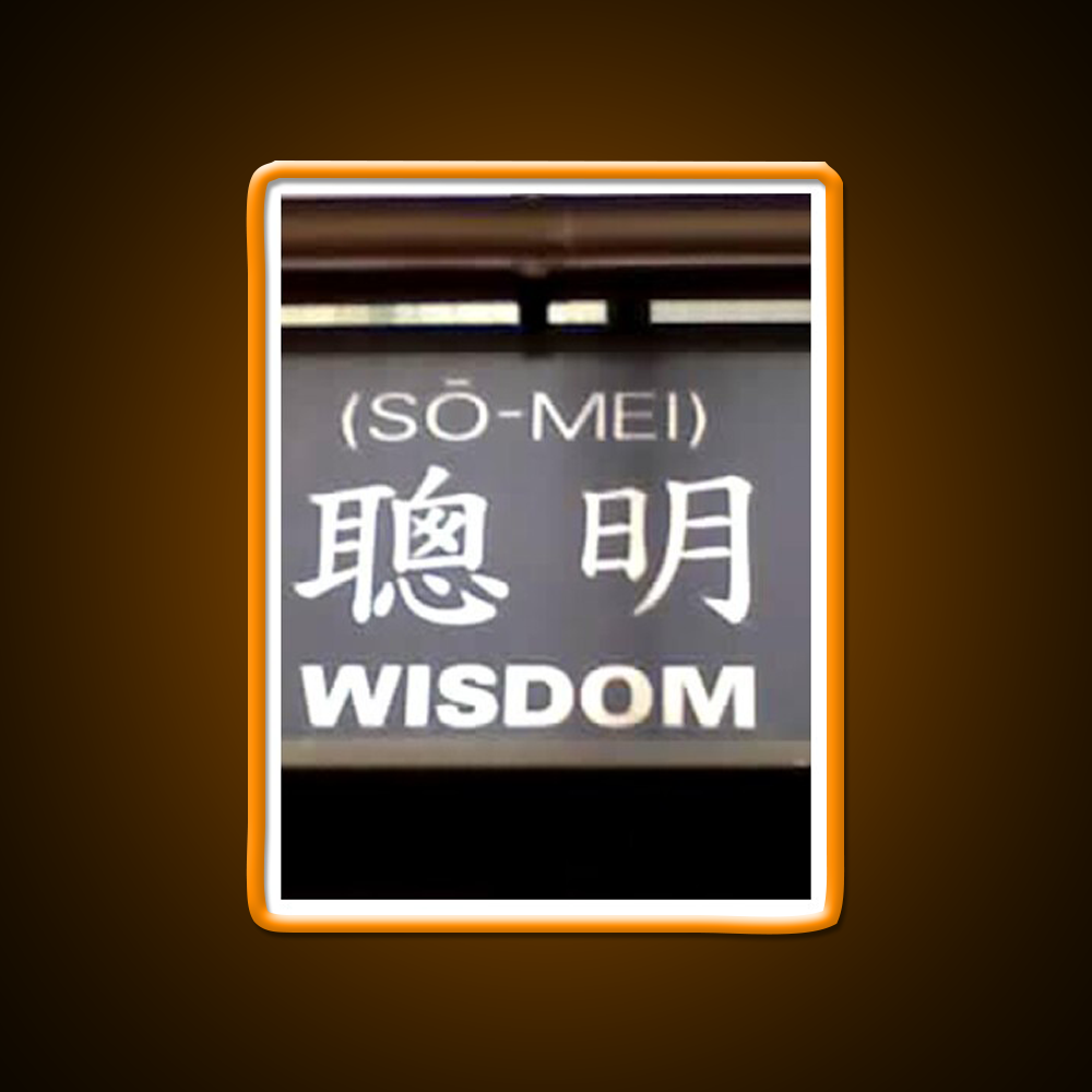 Wisdom In Chinese Characters Asian Cultural Led Neon Sign Rgb Color - LED neon sign view 6