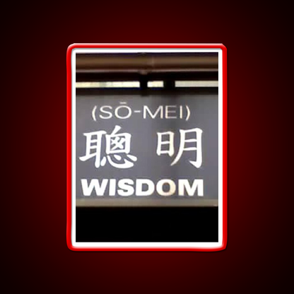 Wisdom In Chinese Characters Asian Cultural Led Neon Sign Rgb Color - LED neon sign view 10