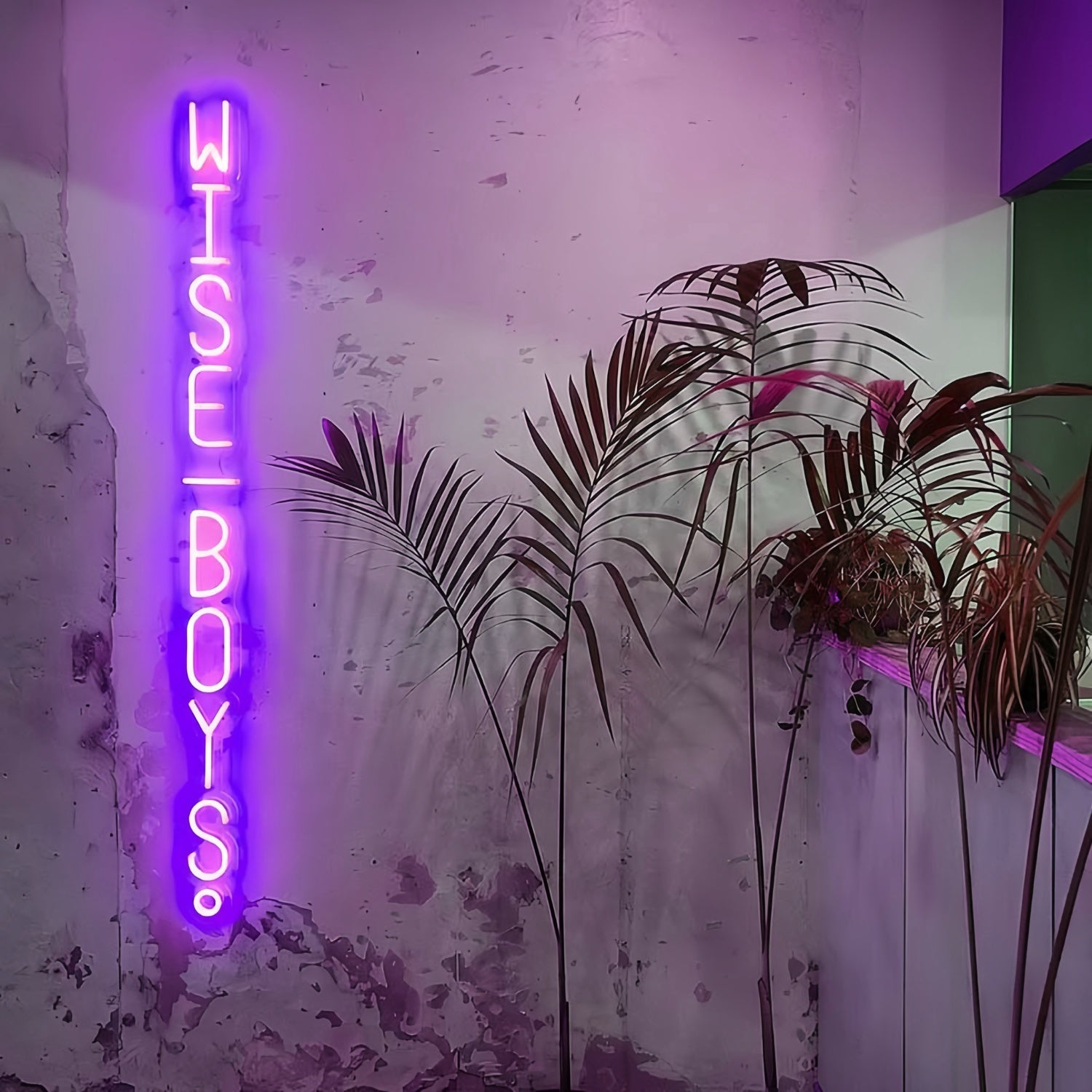 Wise Boys Illuminate Your Space With Wisdom And Style - Shineneon