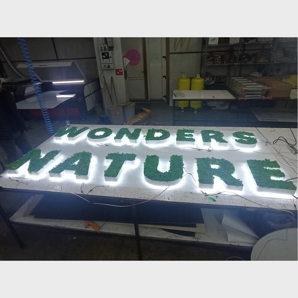 Wonders Nature 3D Moss Letter Sign