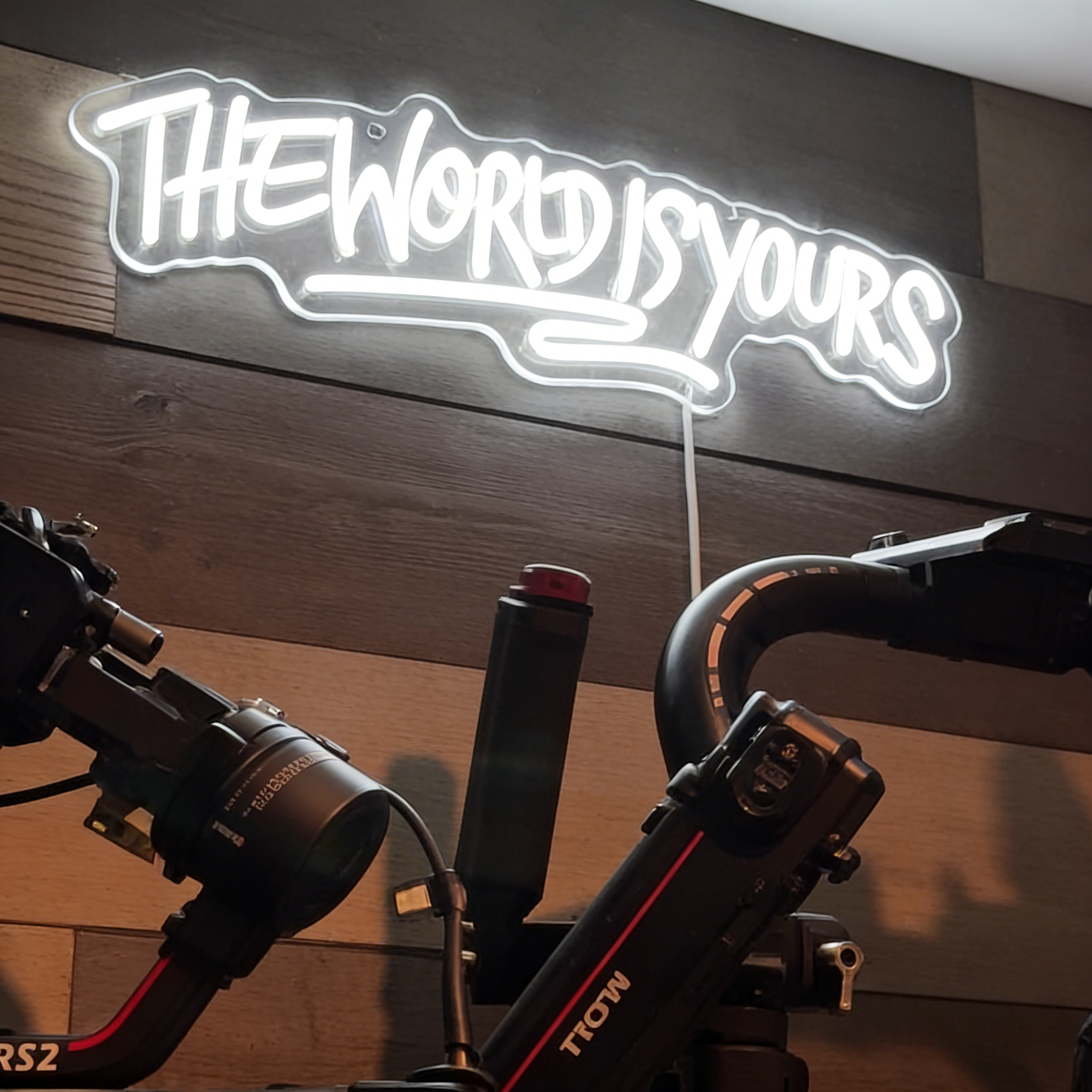 ShineNeon™ Icon Script Neon Sign – “The World Is Yours” Motivational Wall Light for Man Cave & Game Room