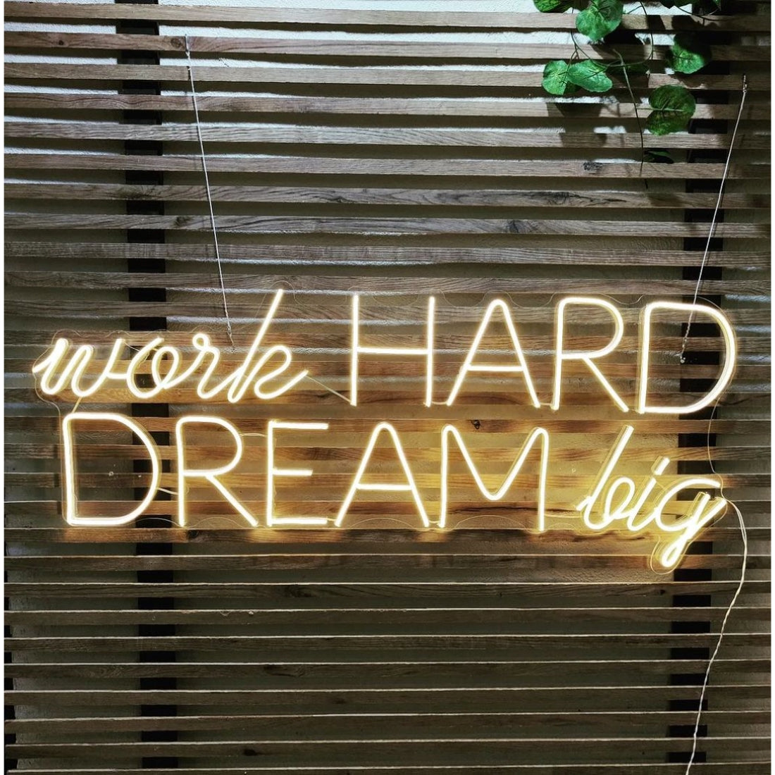 Work Hard Dream Big Led Sign Business Neon Sign