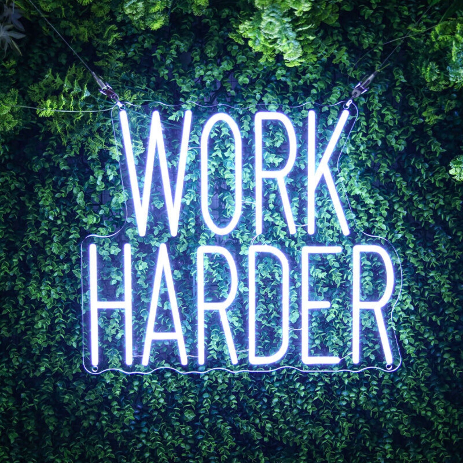 Work Harder Led Neon Sign For Motivational | Shineneon