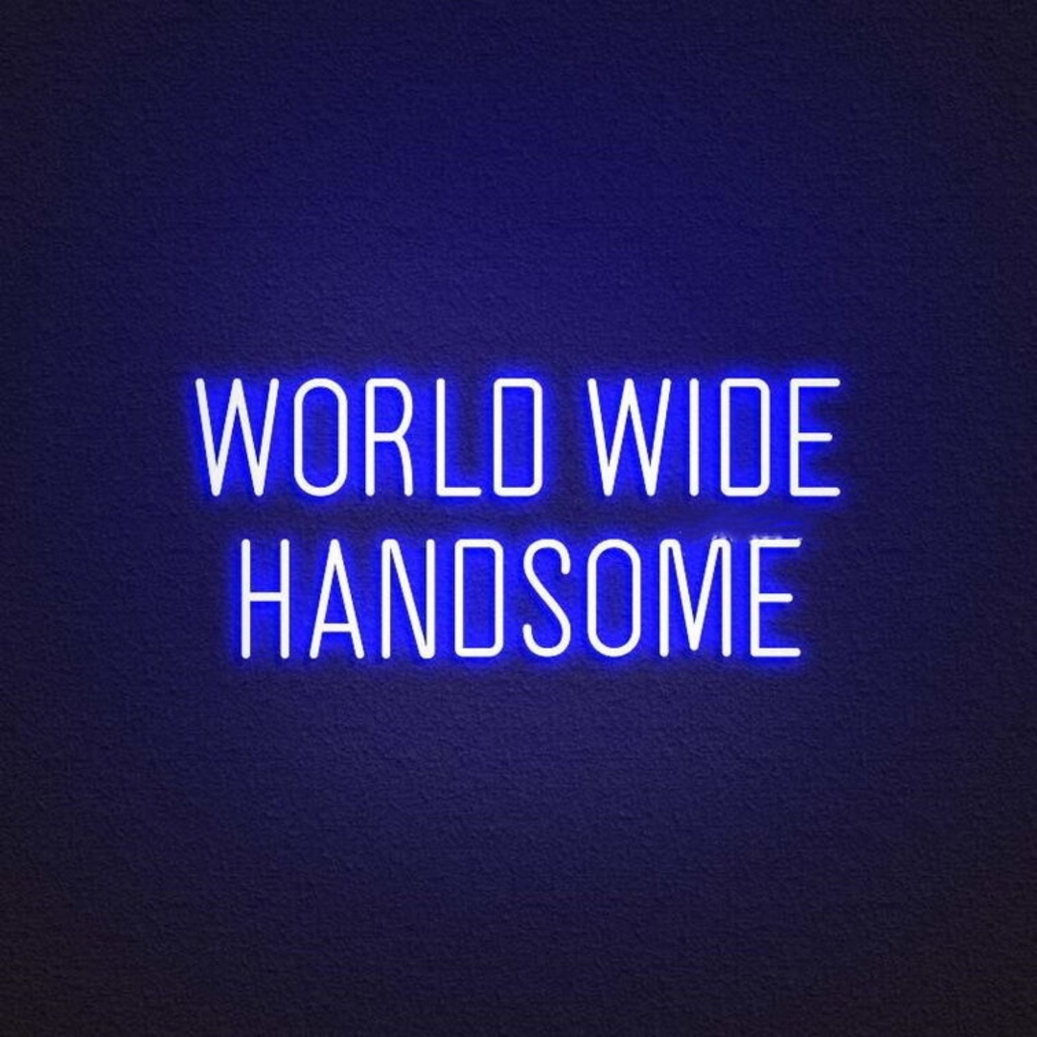 World Wide Handsome Led Neon Sign | Shineneon