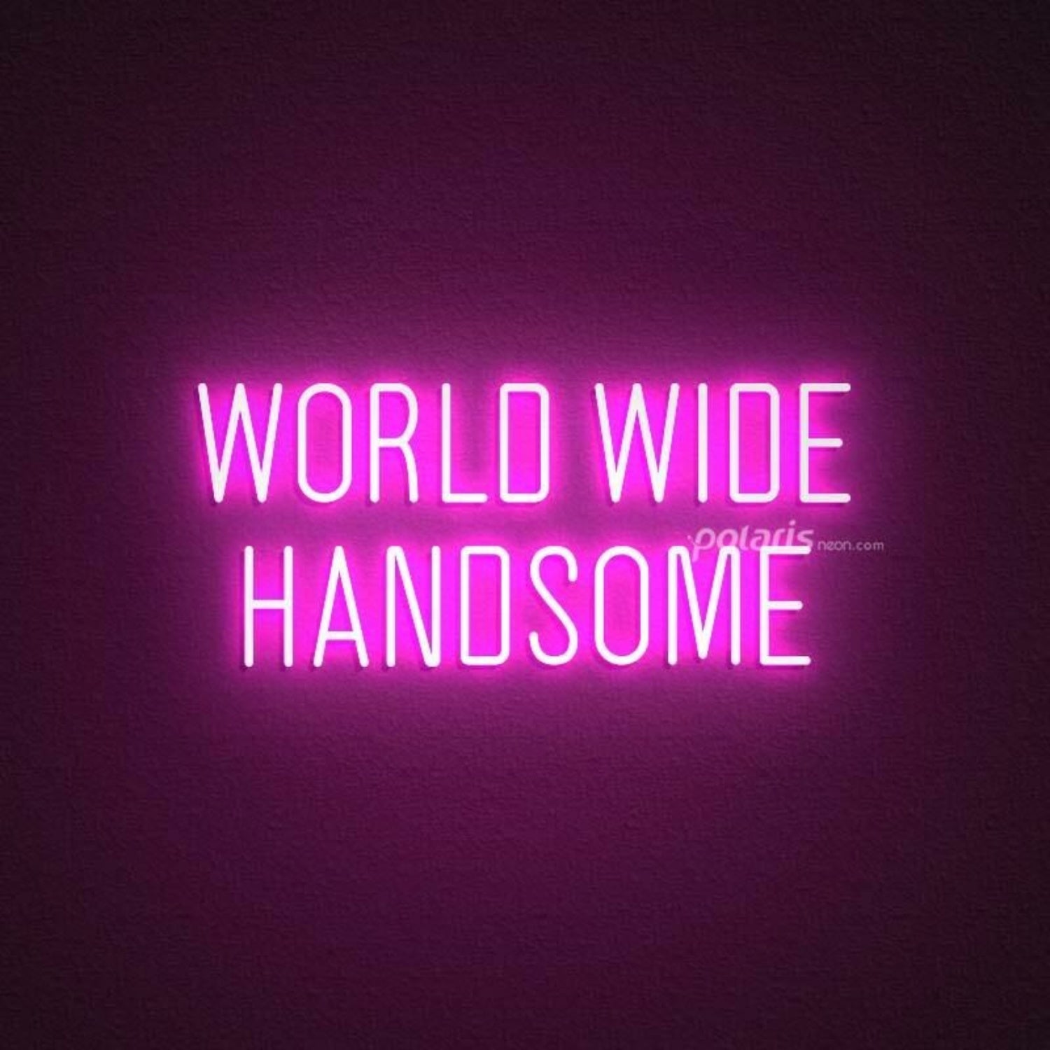 World Wide Handsome Led Neon Sign | Shineneon