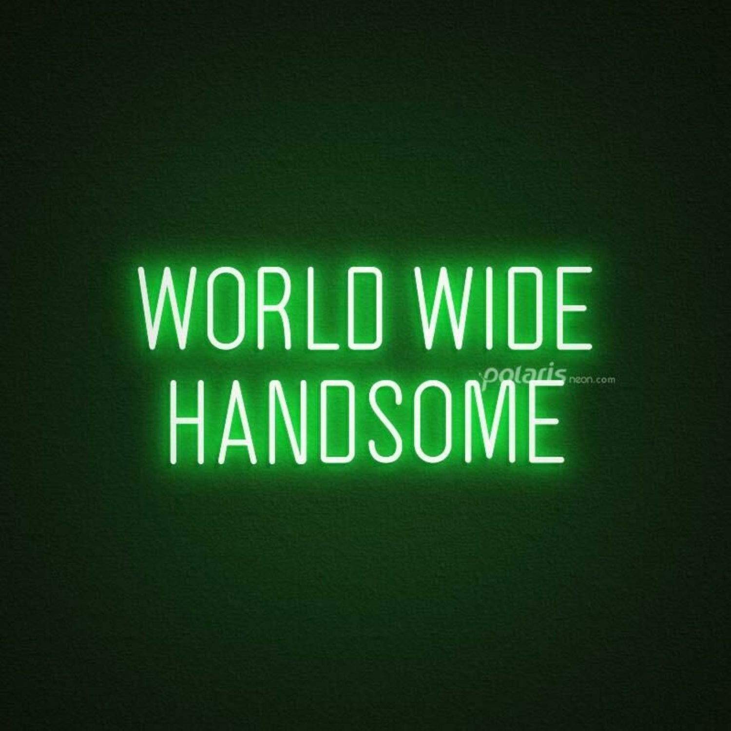 World Wide Handsome Led Neon Sign | Shineneon