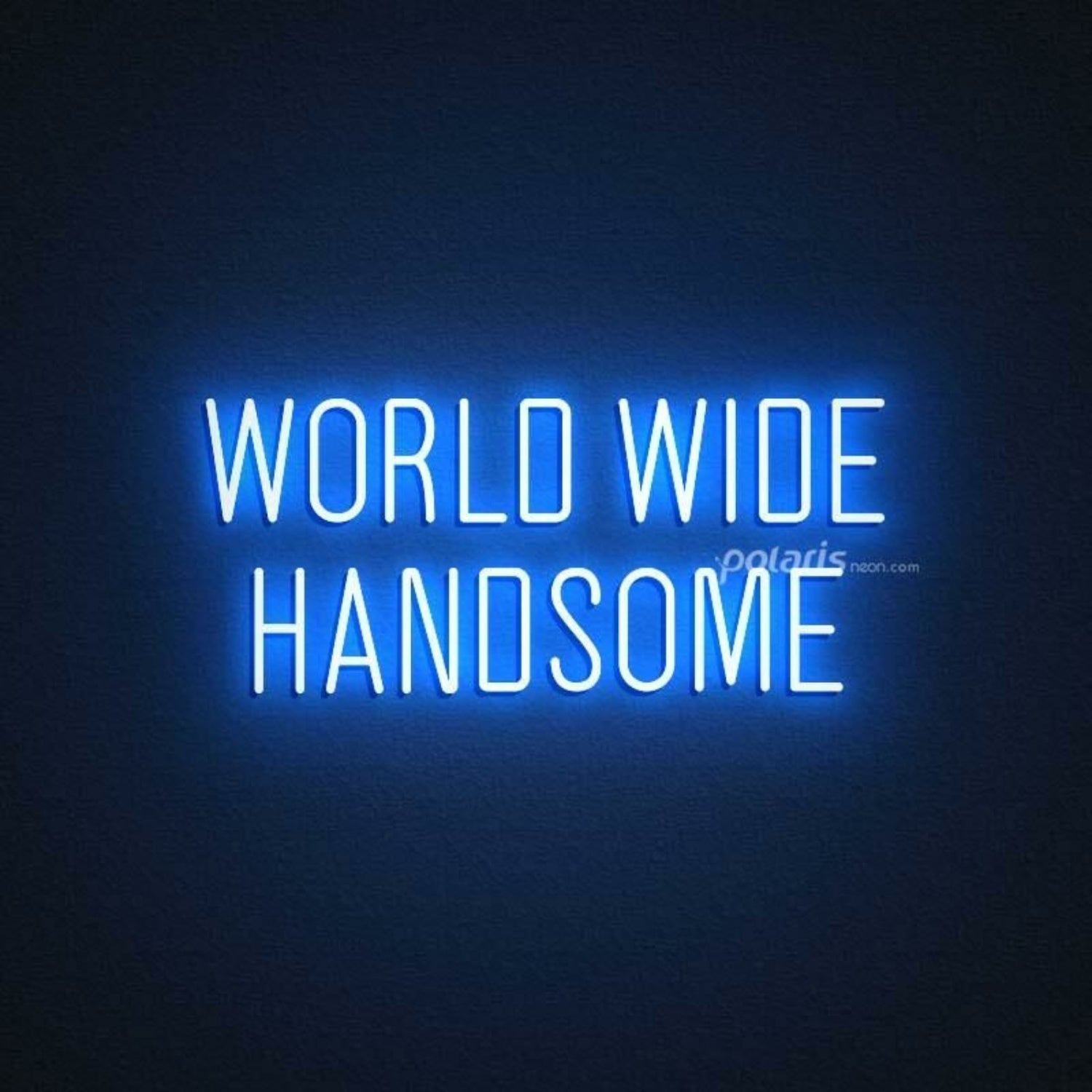 World Wide Handsome Led Neon Sign | Shineneon