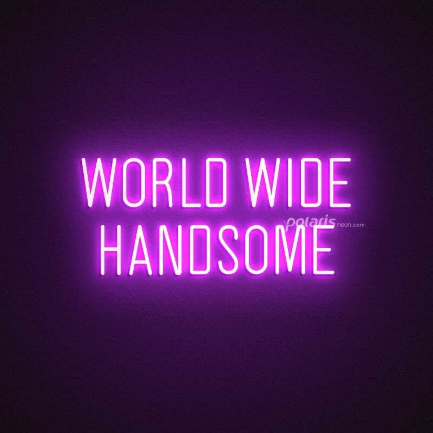 World Wide Handsome Led Neon Sign | Shineneon