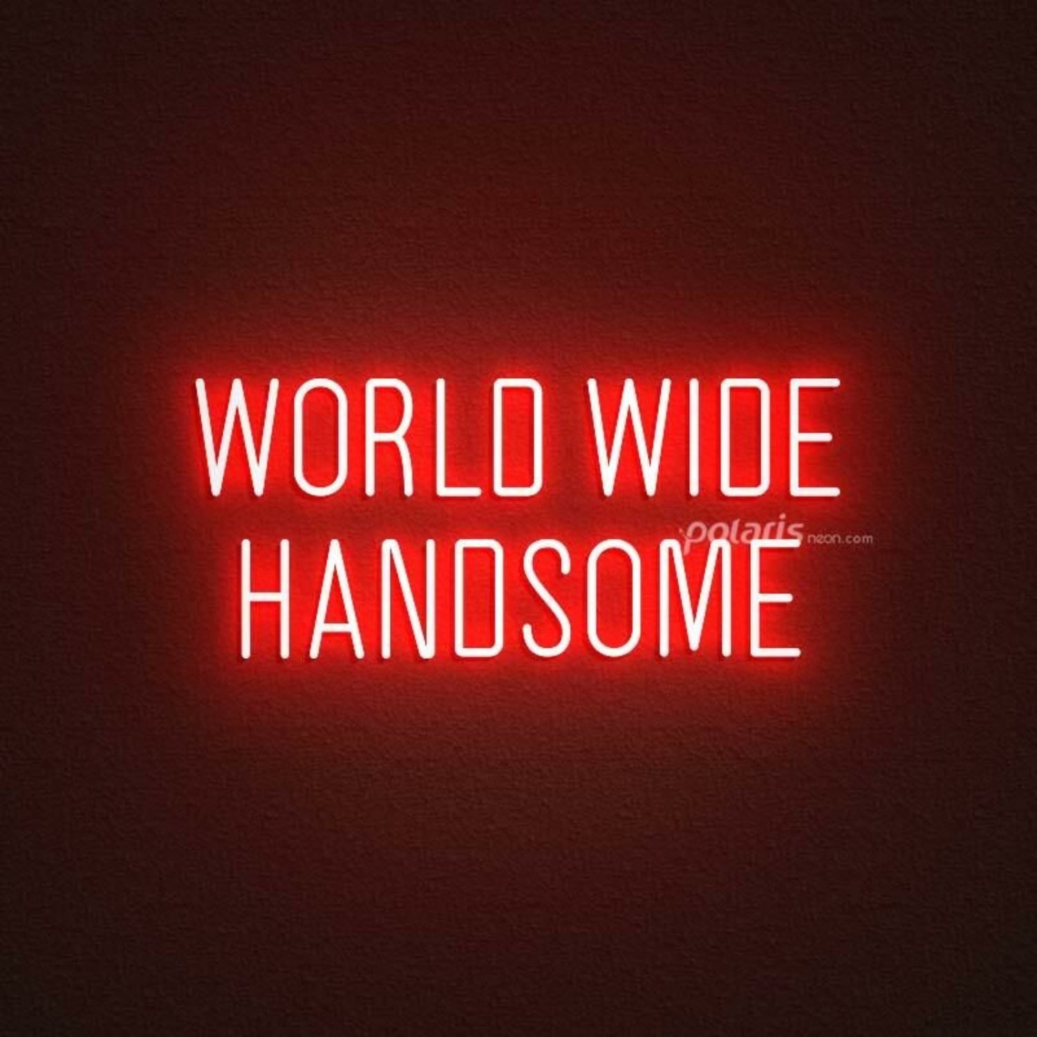 World Wide Handsome Led Neon Sign | Shineneon