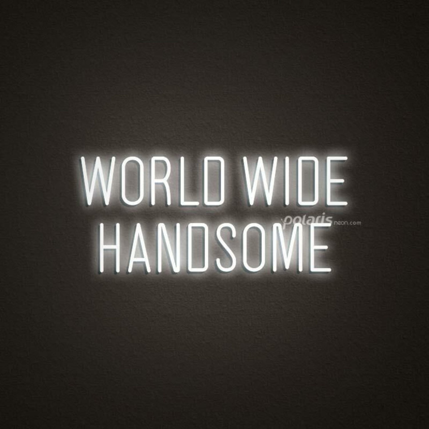 World Wide Handsome Led Neon Sign | Shineneon