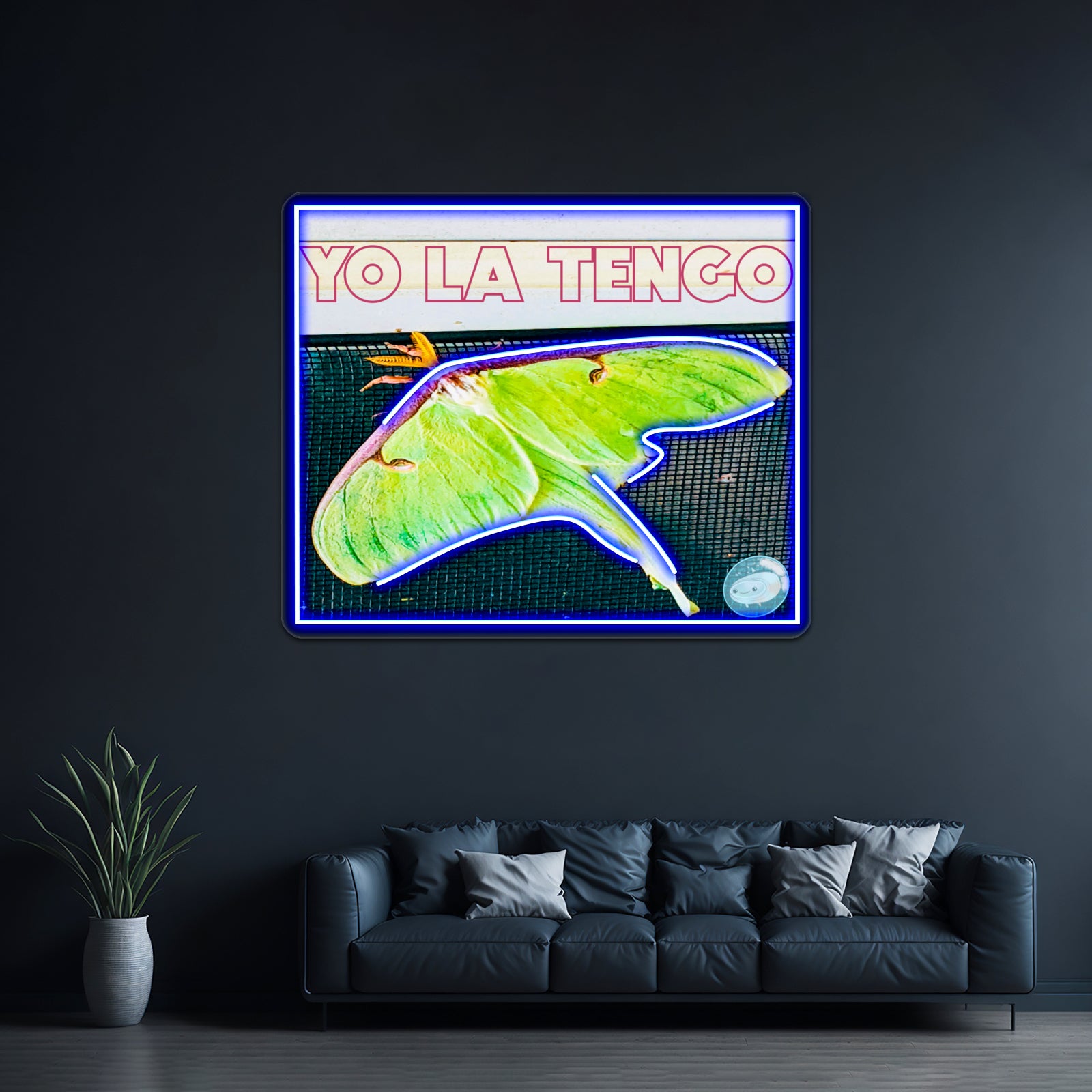 Yo La Tengo Artwork Led Neon Signs | Shineneon