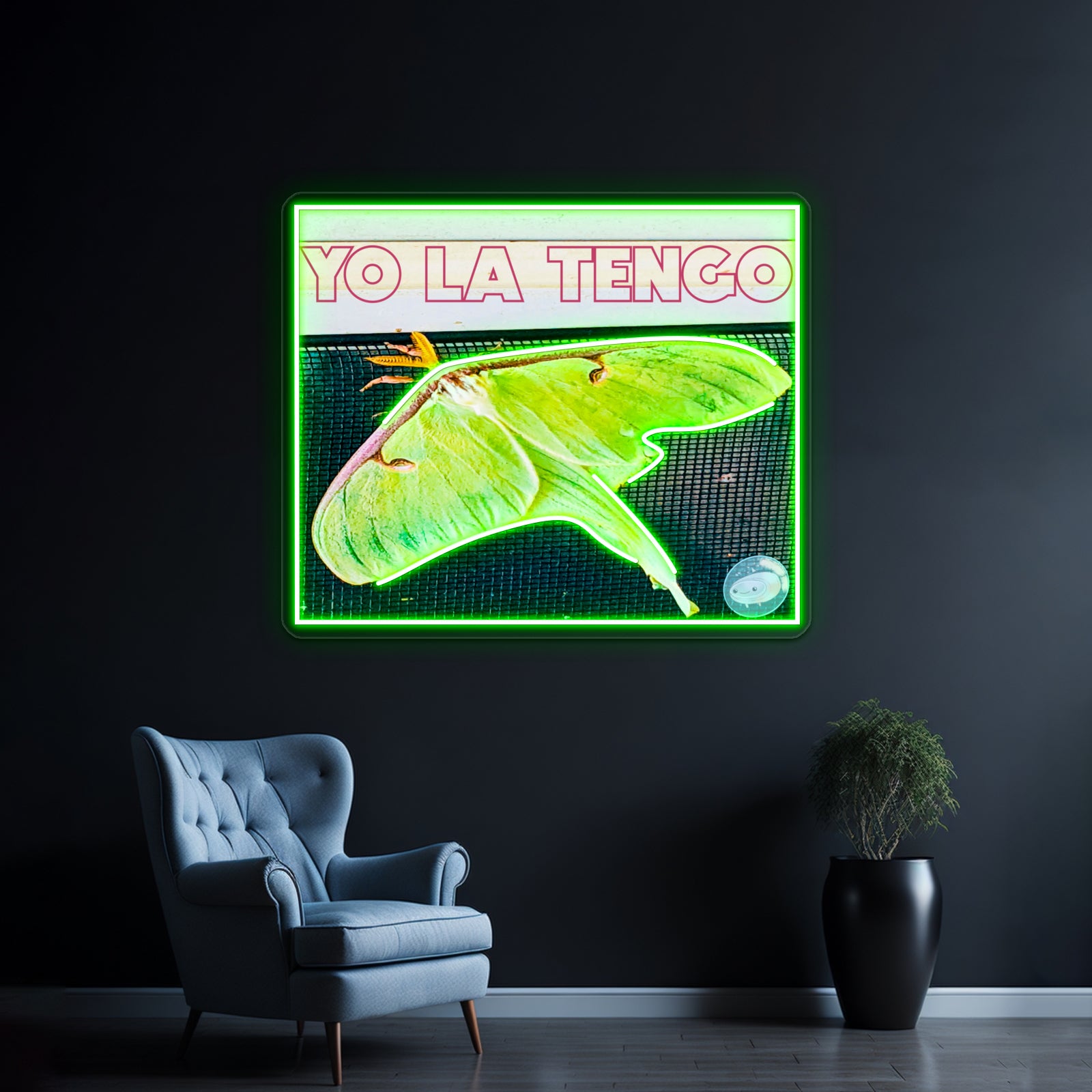 Yo La Tengo Artwork Led Neon Signs | Shineneon