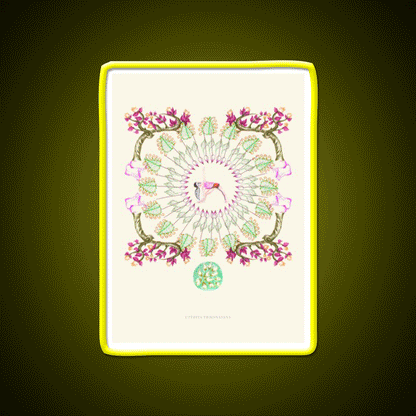 Yoga Garden Iii Yoga Led Neon Sign For Wellness Space Rgb Color