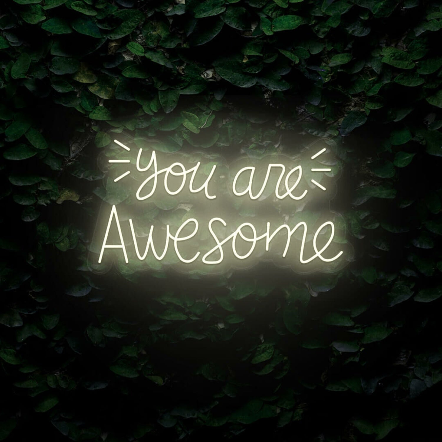 You Are Awesome Led Neon Sign | Shineneon