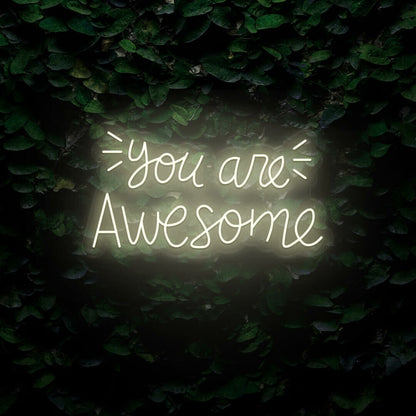 You Are Awesome Led Neon Sign | Shineneon