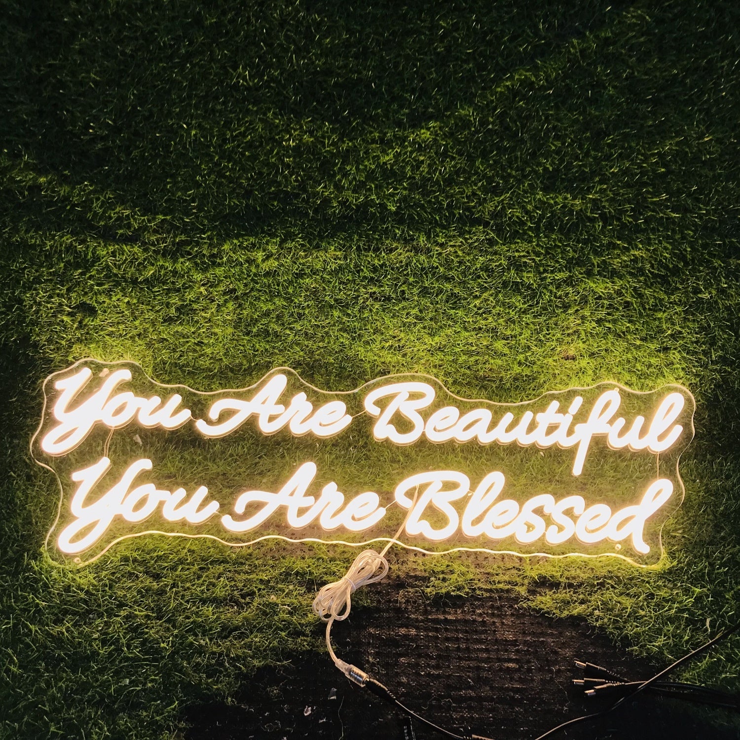 You Are Beautiful You Are Blessed Led Neon Sign | Shineneon