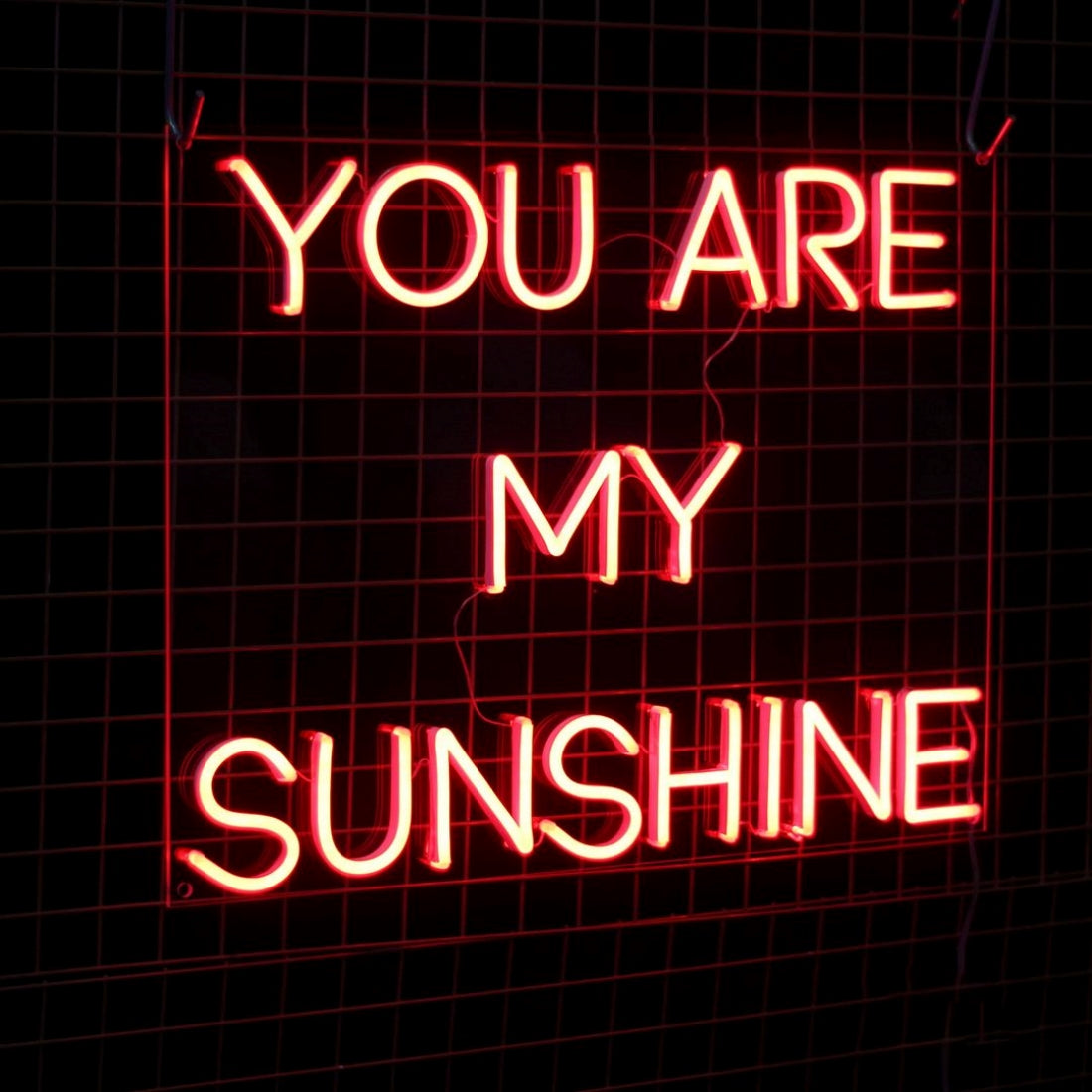 You Are My Sunshine Led Sign Business Neon Signs