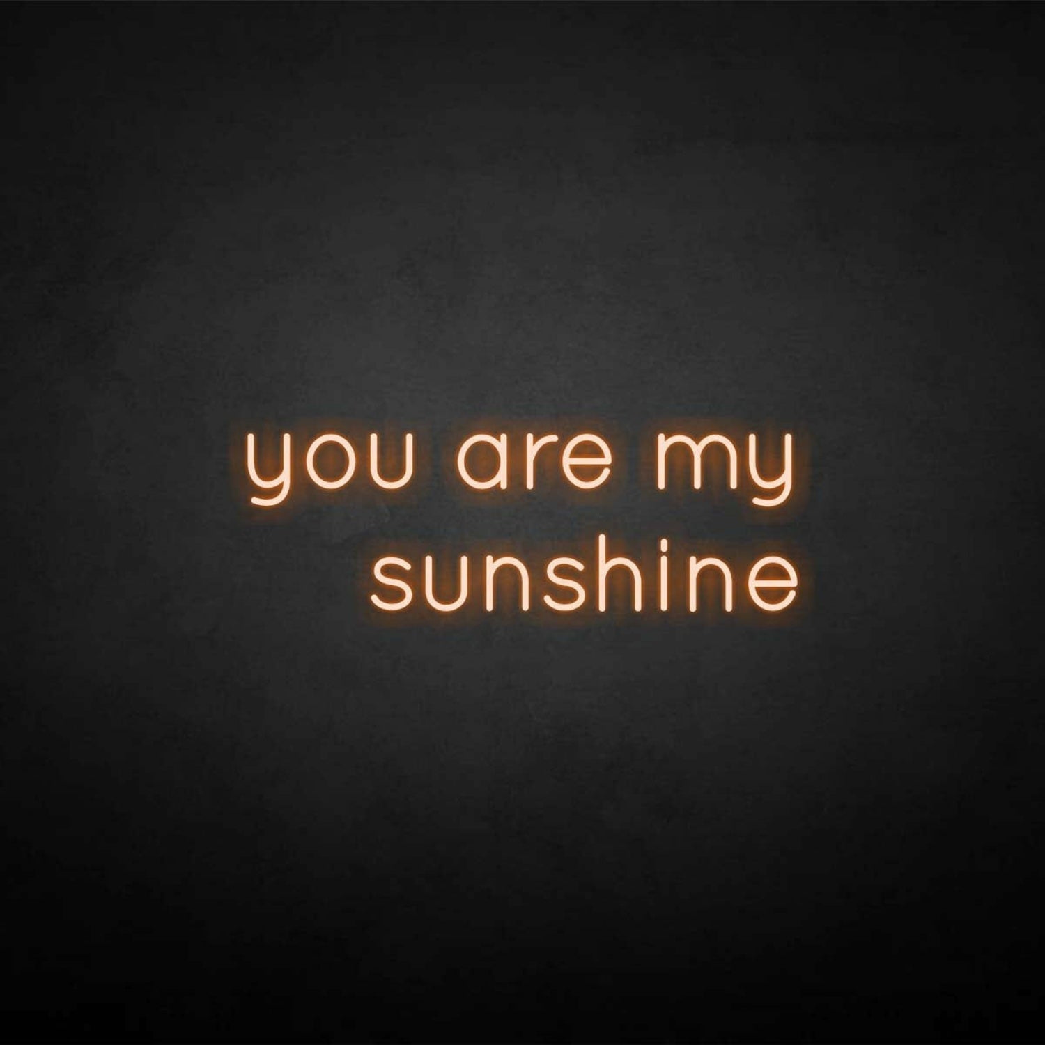 You Are My Sunshine Neon Sign | Shineneon