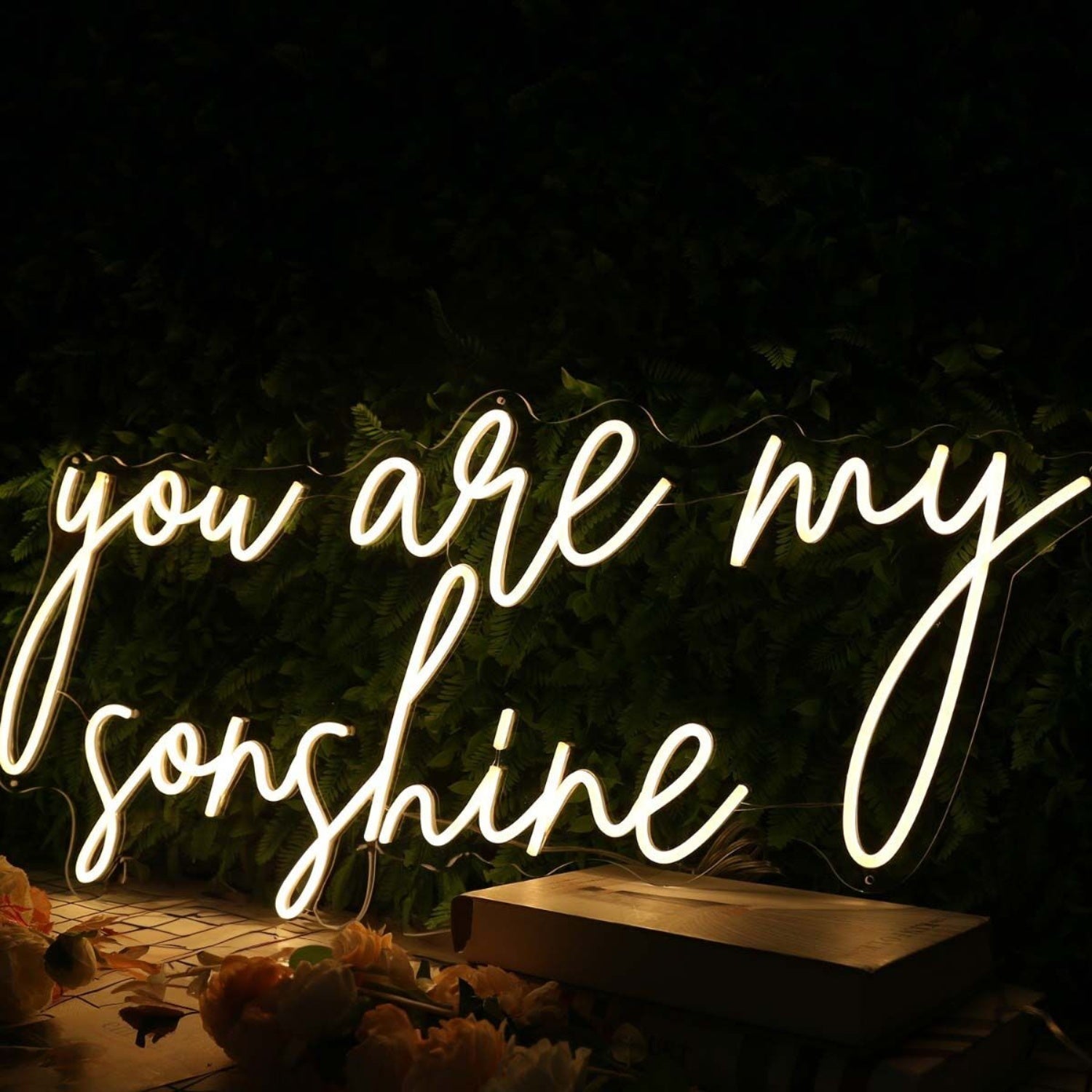 You Are My Sunshine Yellow Led Neon Sign - Shineneon