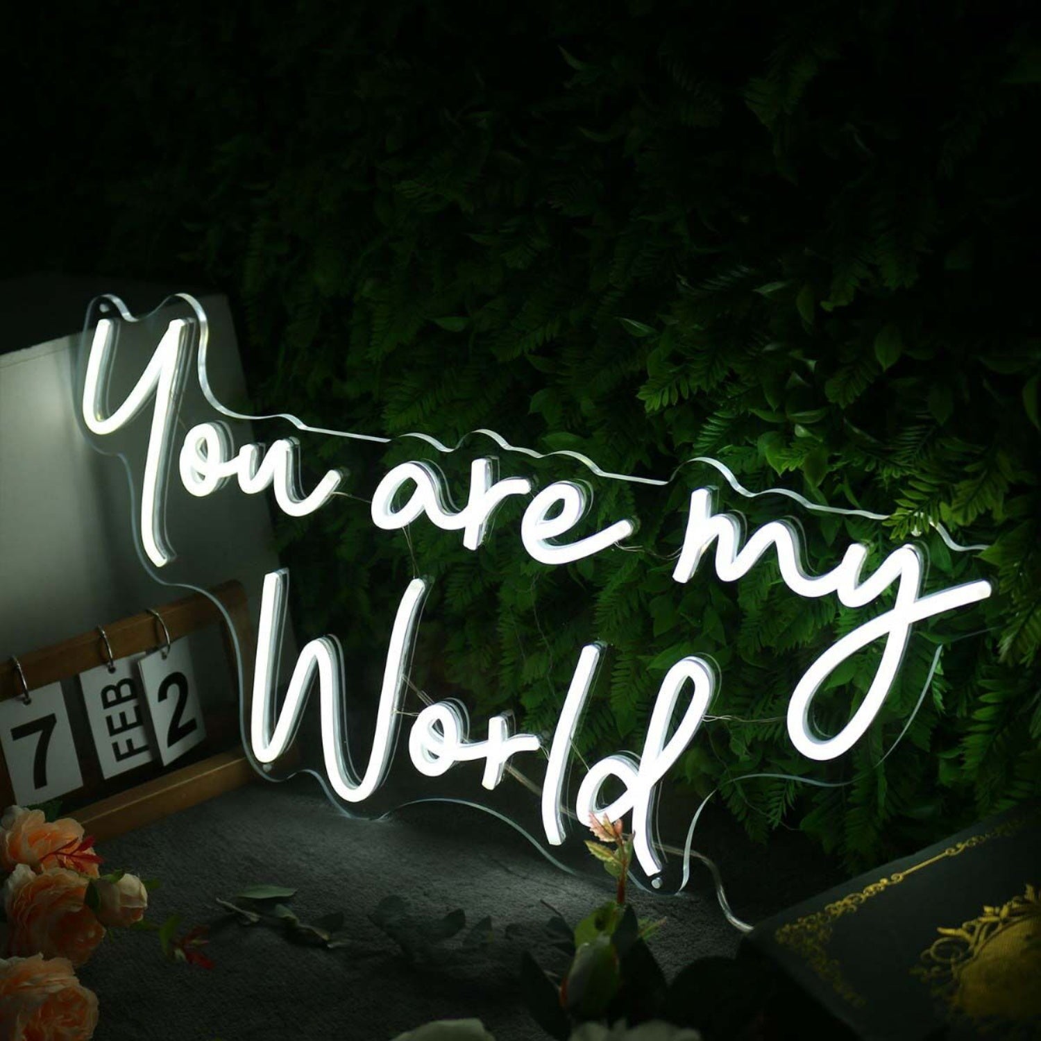 You Are My World White Neon Sign | Shineneon