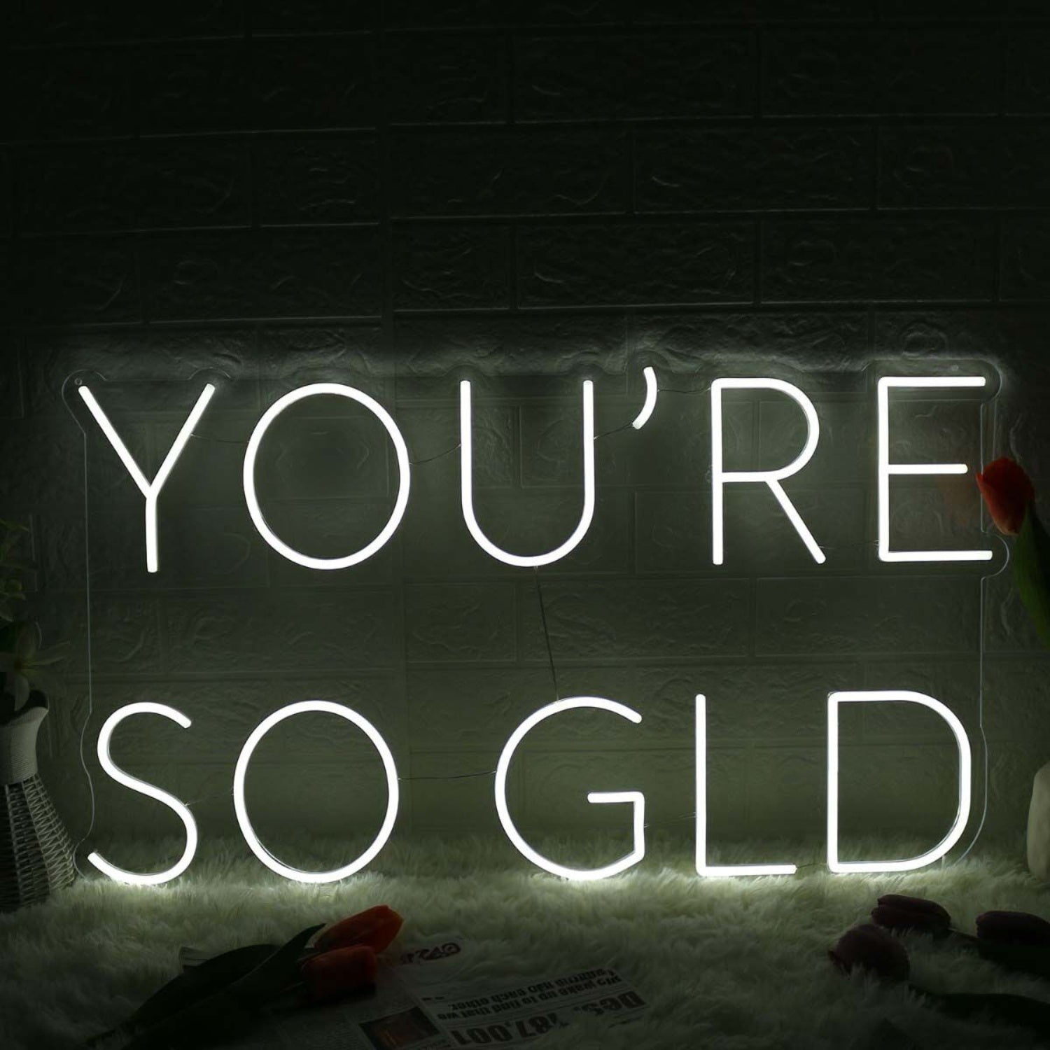 You Are So Gld White Led Neon Sign - Shineneon