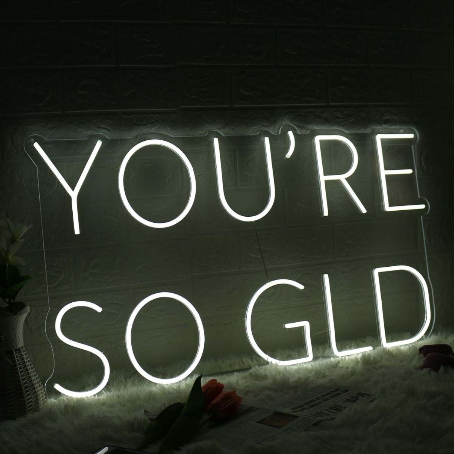 You Are So Gld White Led Neon Sign - Shineneon