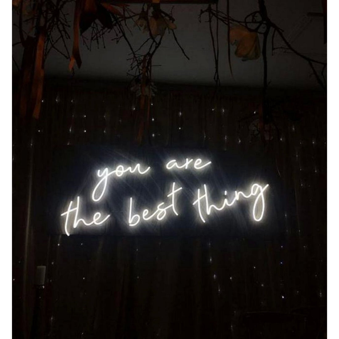 You Are The Best Thing Led Sign Business Neon Sign