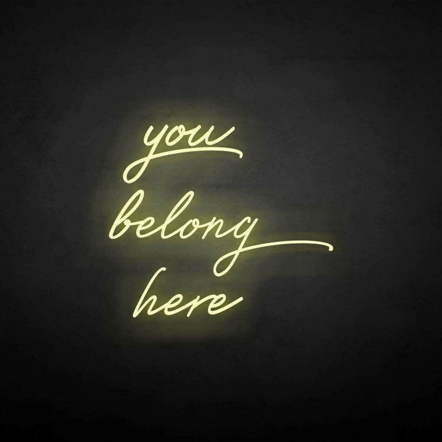 You Belong Here Neon Sign | Shineneon