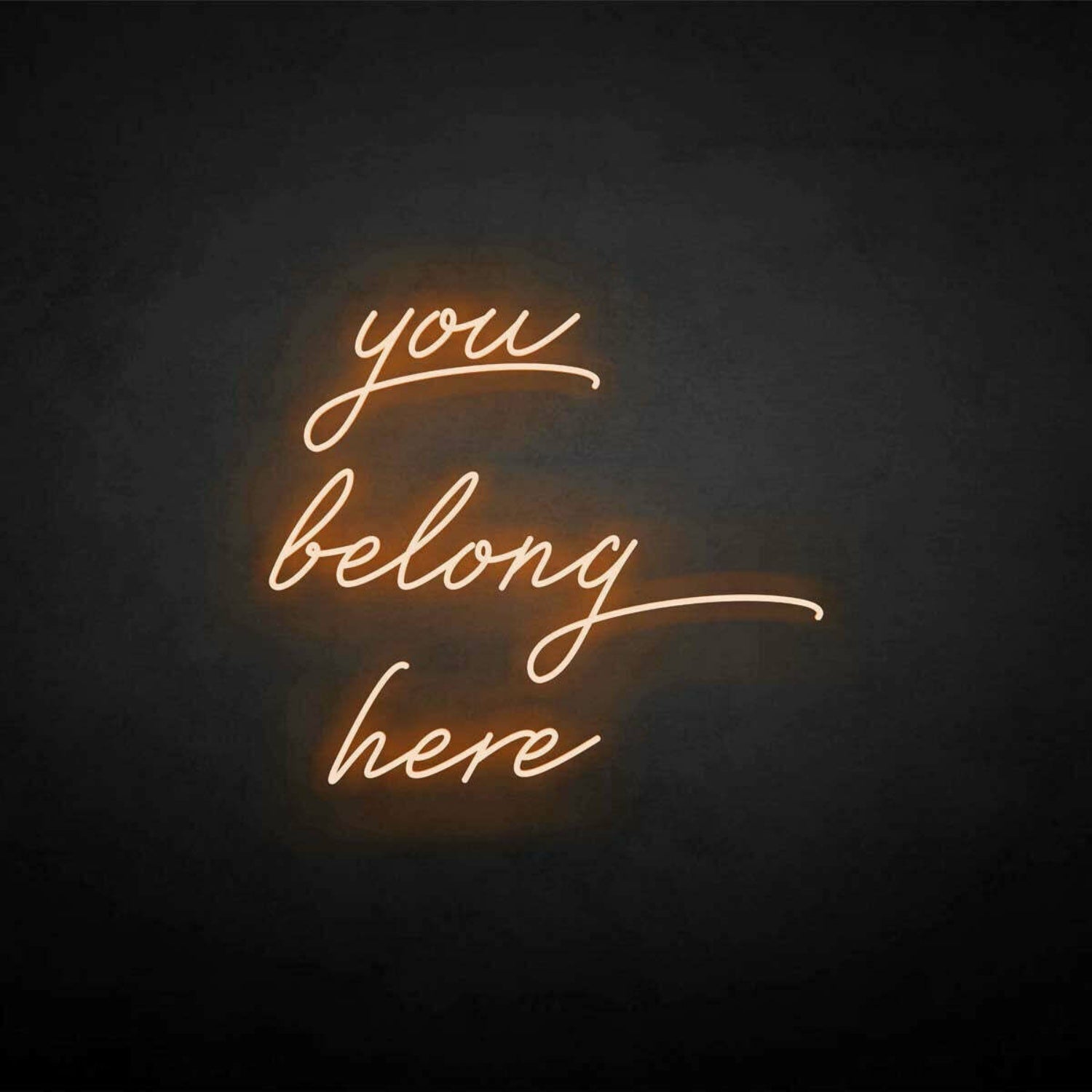 You Belong Here Neon Sign | Shineneon