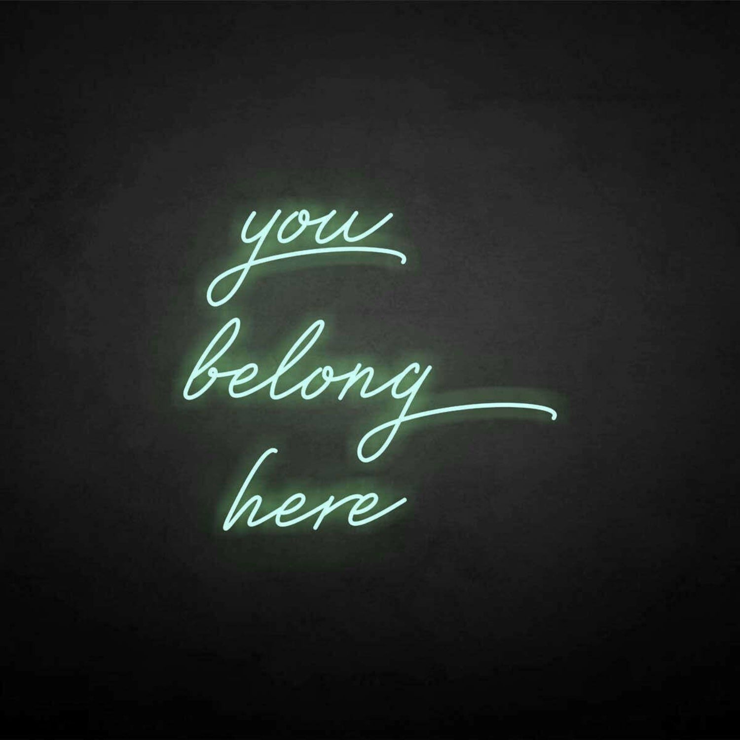 You Belong Here Neon Sign | Shineneon