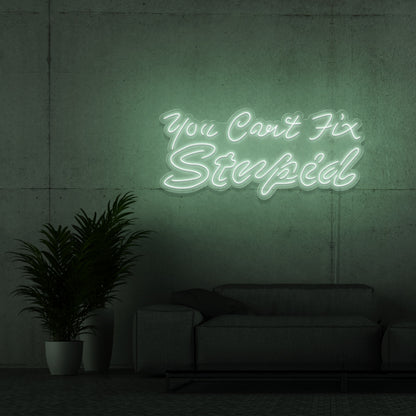 You Cant Fix Stupid Led Neon Signs | Shineneon