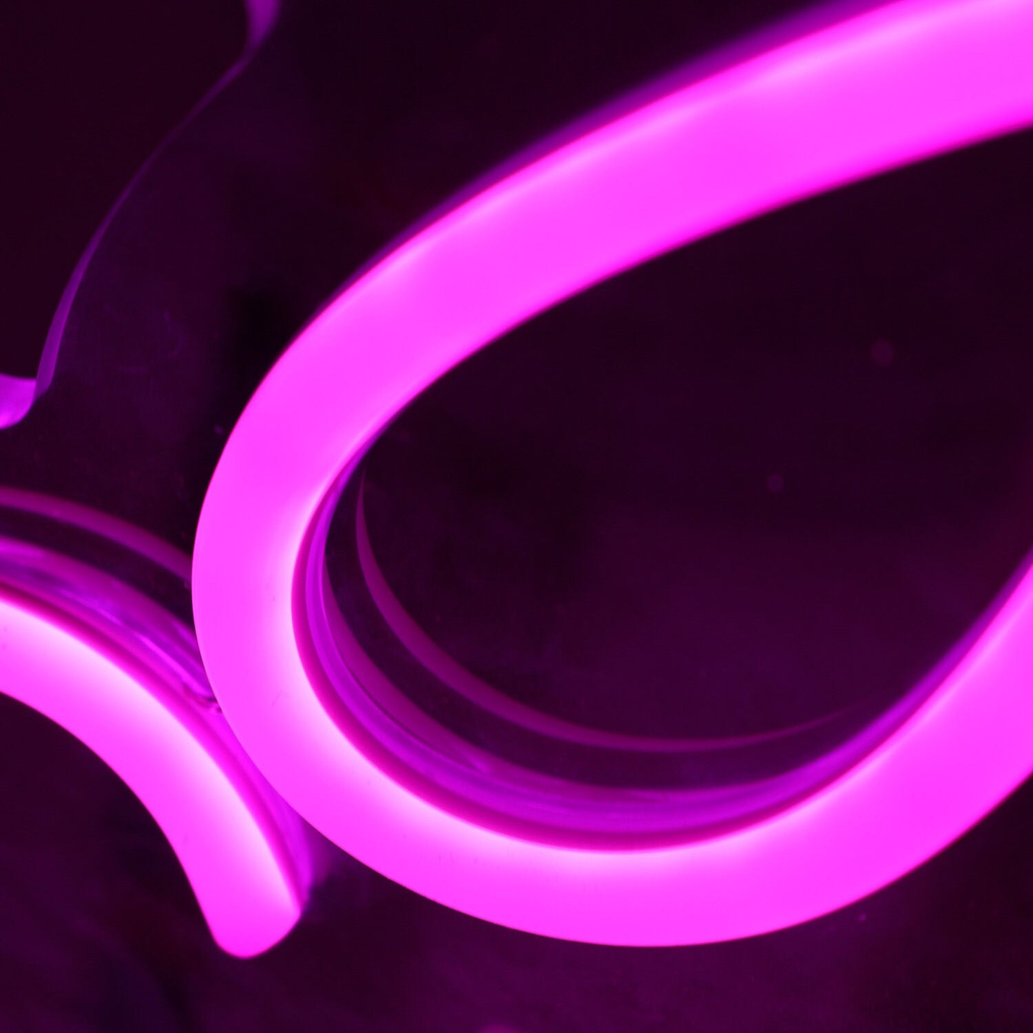 You Cant Sit With Us Pink Led Neon Sign - Shineneon