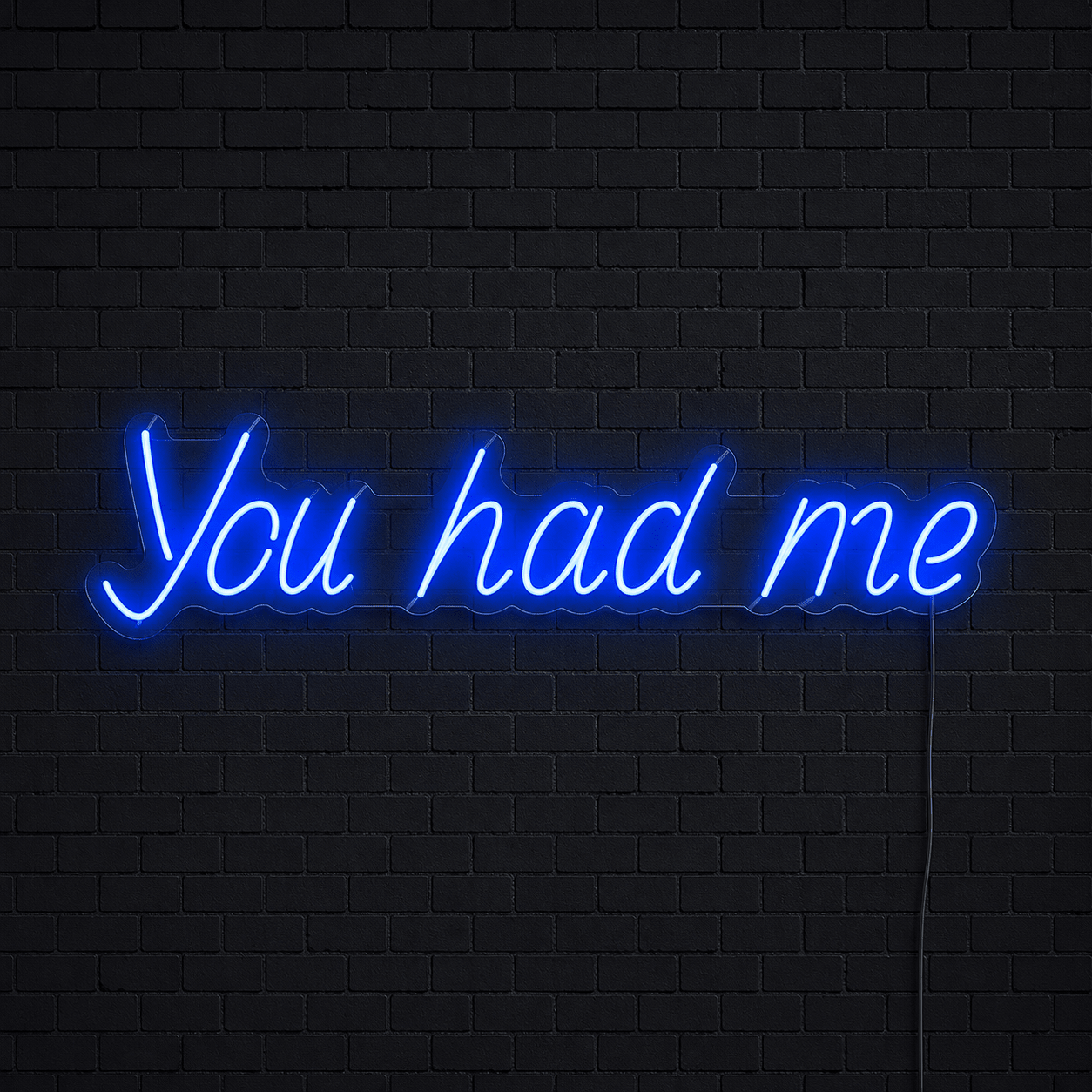You Had Me LED Neon Sign - Shineneon