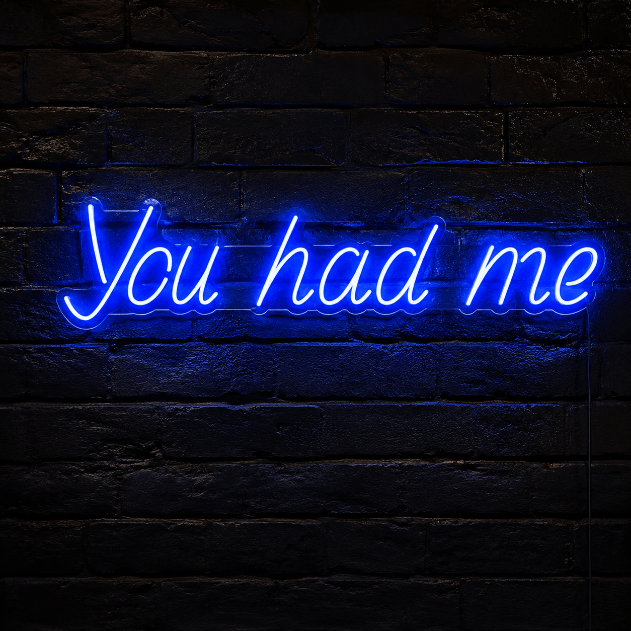 You Had Me LED Neon Sign - Shineneon