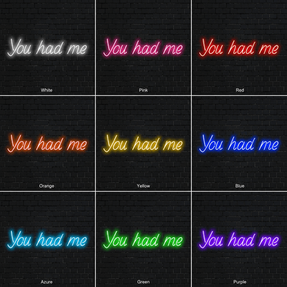You Had Me LED Neon Sign - Shineneon