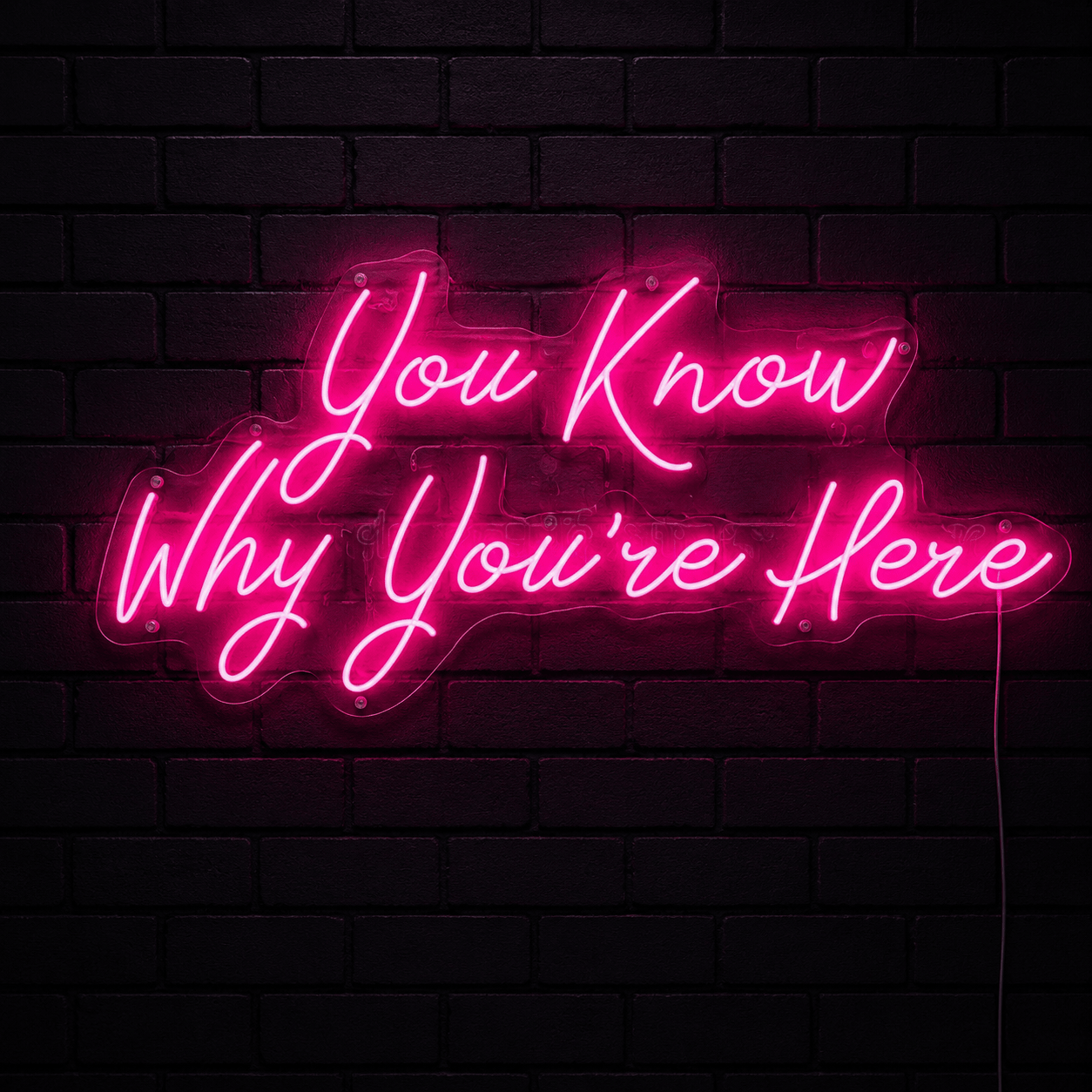 You Know Why You're Here LED Neon Sign - Shineneon